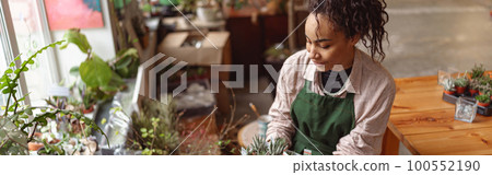 Professional woman florist takes care of seedlings in floral studio. Blurred background Professional woman florist takes care of seedlings in floral studio. Blurred background 100552190