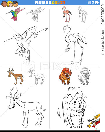 drawing and coloring worksheets set with wild animals 100553066