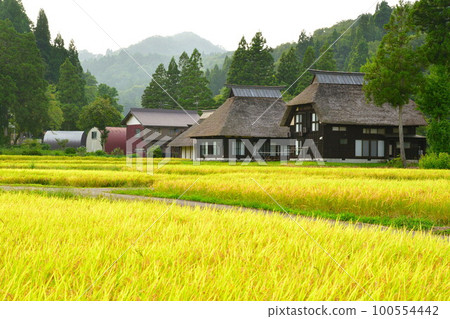 Takayanagi Oginoshima Thatched Ring Village (Niigata Prefecture) Takayanagi Oginoshima Thatched Ring Village (Niigata Prefecture) 100554442