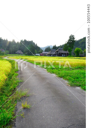 Takayanagi Oginoshima Thatched Ring Village (Niigata Prefecture) 100554443