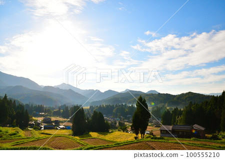 Rice terrace in Kitagumagawa river (Niigata) 100555210