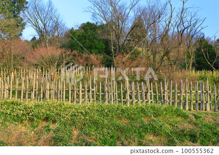 [Gifu] Sekigahara old battlefield ruins of Mitsunari Ishida's camp 100555362
