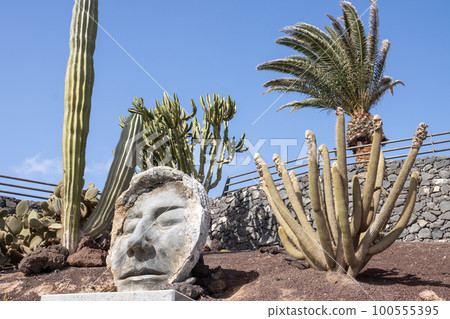 Cactus, statue and a blue sky, Puerto del Rosario Cactus, statue and a blue sky, Puerto del Rosario 100555395