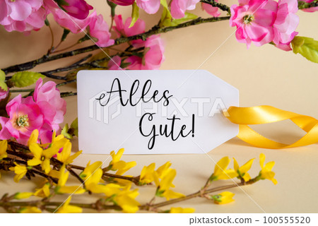Spring Flower Decoration, Label With Alles Gute Means Best Wishes Spring Flower Decoration, Label With Alles Gute Means Best Wishes 100555520