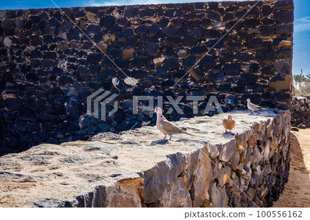 Hornos de Cal de la Guirra lime kilns on the coast of Fuerteventura Island 100556162