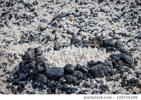 Popcorn beach near Corralejo on the island of Fuerteventura Popcorn beach near Corralejo on the island of Fuerteventura 100556206