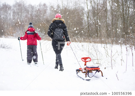 The son is skiing, and the mother is pushing the sled behind. Winter walk in the forest. 100556396
