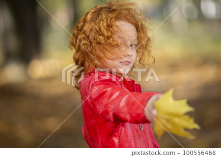 Autumn portrait of a little red-haired girl with maple leaves outdoors Autumn portrait of a little red-haired girl with maple leaves outdoors 100556468