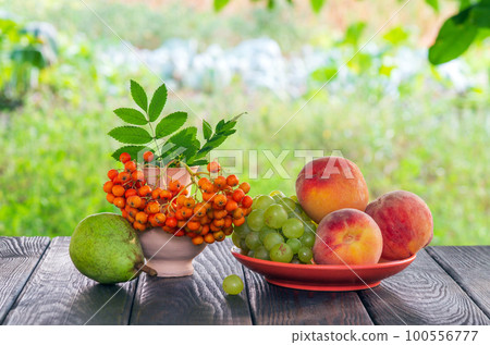 Still life of peach grapes and rowan berries on a wooden table after harvest Still life of peach grapes and rowan berries on a wooden table after harvest 100556777