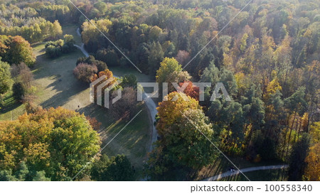 Flying over trees with yellow and green leaves in a park with dirt paths and people walking on a sunny autumn day. Forest wood woodland nature natural sunlight sunshine. Aerial drone view. Top view. Flying over trees with yellow and green leaves in a park with dirt paths and people walking on a sunny autumn day. Forest wood woodland nature natural sunlight sunshine. Aerial drone view. Top view. 100558340