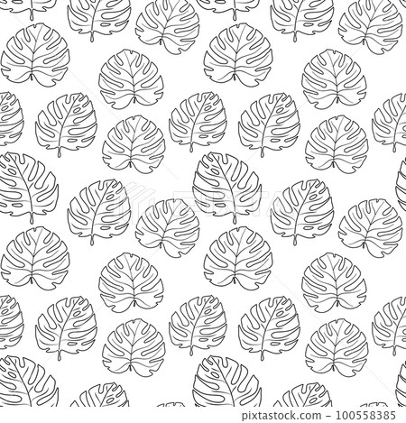Seamless pattern black lines manstera leaves on white background Seamless pattern black lines manstera leaves on white background 100558385