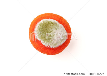 tangerine covered with mold on a white background tangerine covered with mold on a white background 100560274