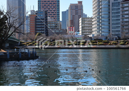 Tokyo cityscape Sumida River and townscape Aioibashi Nakanoshima Tokyo cityscape Sumida River and townscape Aioibashi Nakanoshima 100561766