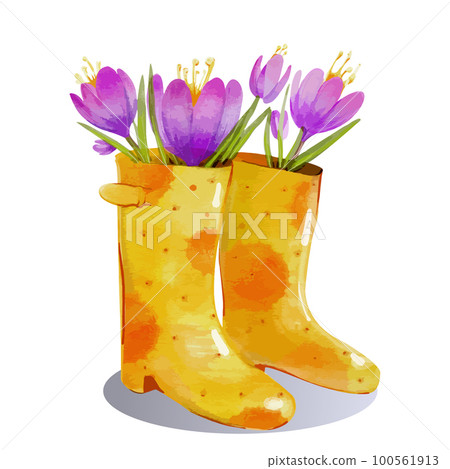 Yellow Galoshes with Purple Crocus Flowers. Vector Illustration in Watercolor 100561913