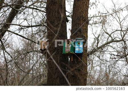 Houses for birds on trees in winter forest 100562163