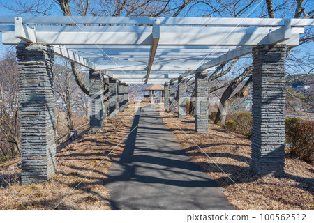 Road leading to Kojinyama Observatory [Tatsuno-cho, Kamiina-gun] 100562512