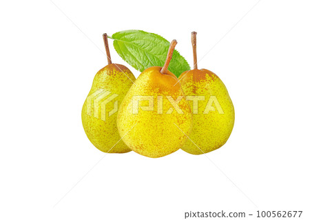 Rocha pear three whole fruits and green leaf isolated on white Rocha pear three whole fruits and green leaf isolated on white 100562677