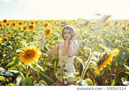 girl in sunflowers girl in sunflowers 100563124