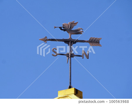 Weathercock 100563988