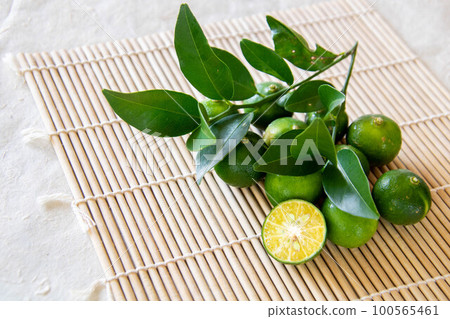 扁實檸檬 扁實檸檬 100565461