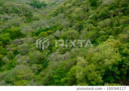 高原的新綠 橫跨山谷的綠色漸變 高原的新綠 橫跨山谷的綠色漸變 100566117