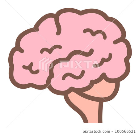 Lateral view of the brain Lateral view of the brain 100566521
