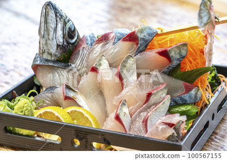 在大分佐賀關捕獲的關青花魚 100567155