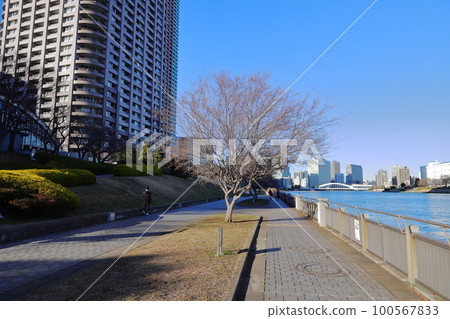東京城市景觀隅田川和城市景觀石川島公園 東京城市景觀隅田川和城市景觀石川島公園 100567833