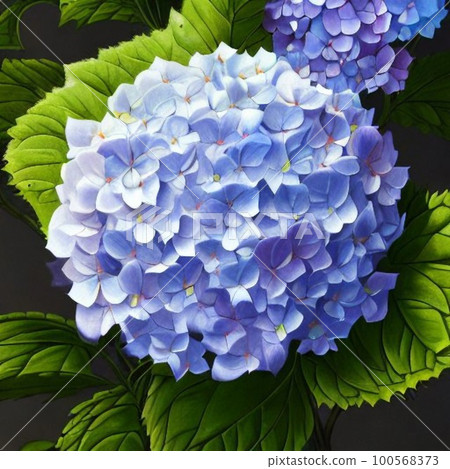 AI一代,繡球花 AI一代,繡球花 100568373