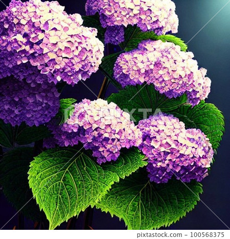 AI generation, hydrangea AI generation, hydrangea 100568375