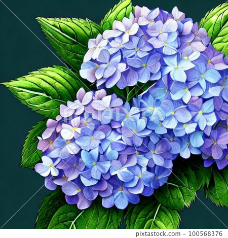 AI一代，繡球花 100568376