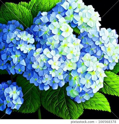 AI一代，繡球花 100568378