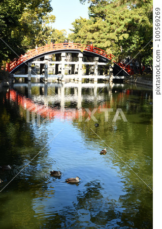 Sumiyoshi Taisha Shrine [Sumiyoshi Ward, Osaka City, Osaka Prefecture] 100569269