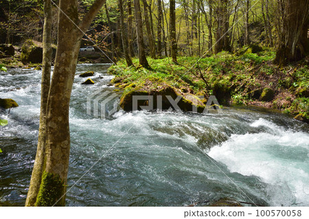 藍天新綠的青森奧入瀨溪流 藍天新綠的青森奧入瀨溪流 100570058