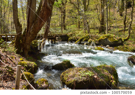 藍天新綠的青森奧入瀨溪流 藍天新綠的青森奧入瀨溪流 100570059