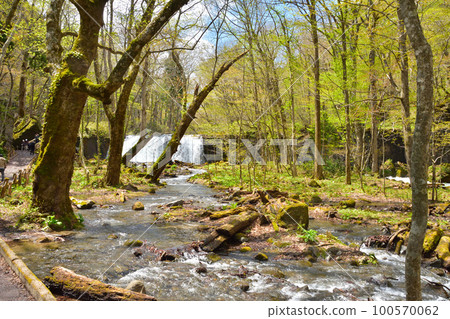 Aomori Oirase stream with blue sky and fresh greenery Aomori Oirase stream with blue sky and fresh greenery 100570062