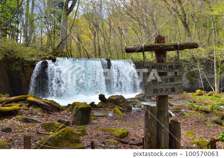 Aomori Blue sky and fresh green Oirase stream Choshi Otaki 100570063