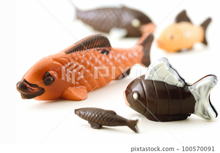 Close-up chocolate on the white background. 100570091