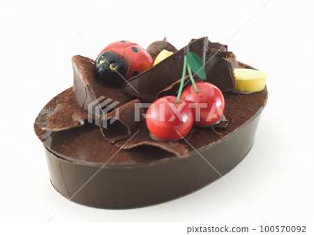 Close-up chocolate on the white background. 100570092