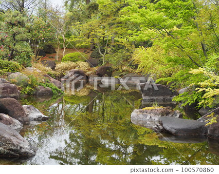 Fresh green Japanese garden② Fresh green Japanese garden② 100570860