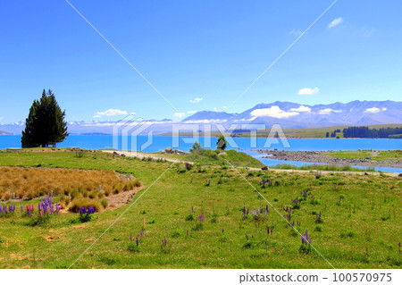 new zealand lake tekapo 335 new zealand lake tekapo 335 100570975