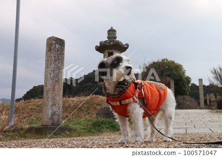 在明日香散步 在明日香散步 100571047
