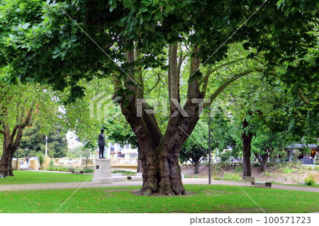 New Zealand_Christchurch24 New Zealand_Christchurch24 100571723
