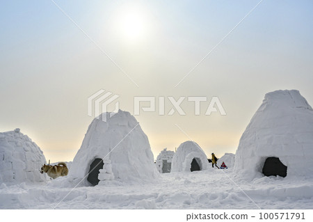 A dog next to an igloo, a traditional shelter of the northern peoples from the cold, made of snow 100571791