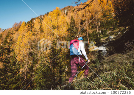 Back view of female mountaineer hiking up the mountain, trough the autumn forest on a sunny autumn day 100572286