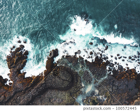 Top down view of Atlantic puffins nesting in Iceland Top down view of Atlantic puffins nesting in Iceland 100572445