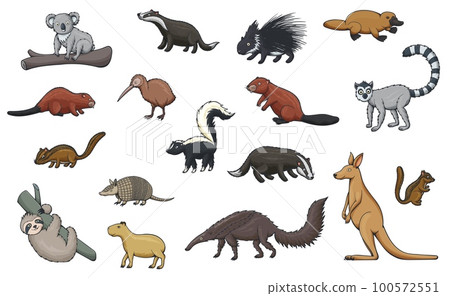 Animal cartoon icons of hunting sport, zoo and wildlife. Vector kangaroo, koala and platypus, kiwi bird, porcupine, badger, beaver and lemur, chipmunk, capybara and sloth, armadillo, skunk, anteater 100572551