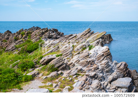 Scenery of Oshima 100572609