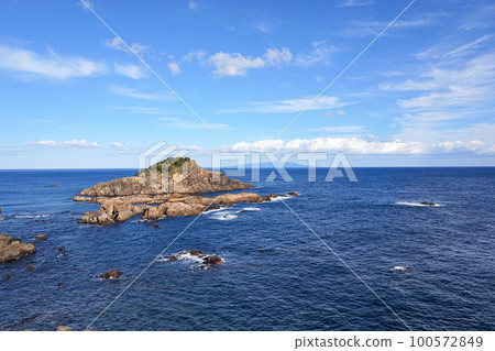 Tsumeki Island and Izu Oshima [Shimoda City, Shizuoka Prefecture / Tsumekizaki] 100572849