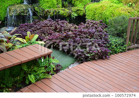 natural garden with wooden bridge, beautiful garden natural garden with wooden bridge, beautiful garden 100572974